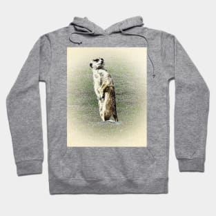 Meerkat Hoodie